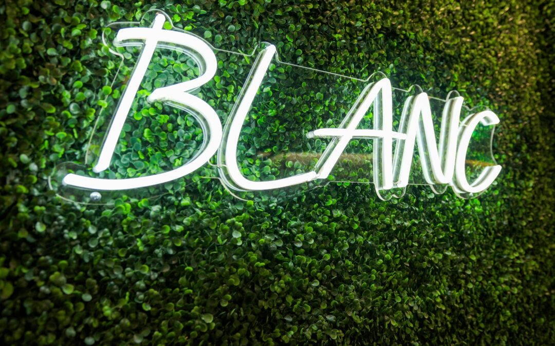 Top 10 Things to Do in Fort Myers – And Why Dining at Blanc Is One of Them